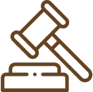 Court-Ready Expert Testimony